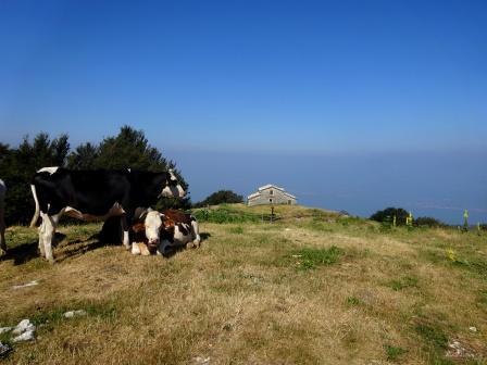 Malga Zocchi Monte Baldo