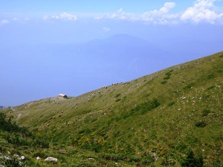 Lago di Garda Monte Baldo Malga Valvaccara