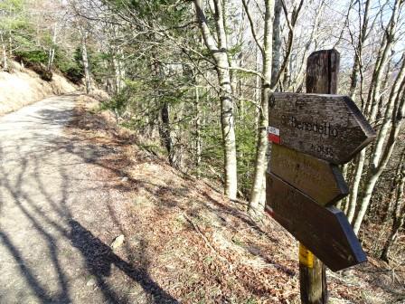 Segnaletica Parco Nazionale Foreste Casentinesi