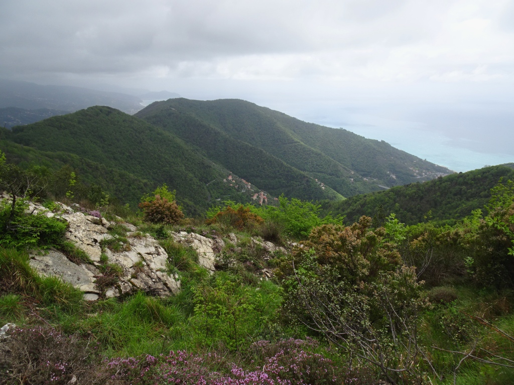 Monte Castello Zoagli