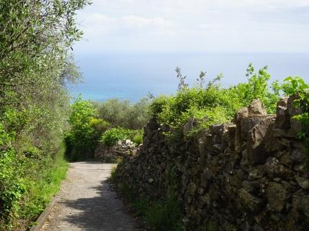 Sant'Andrea di Rovereto sentiero Madonnetta Chiavari