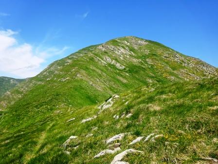 sentiero Fonti di Capiola Monte Casarola