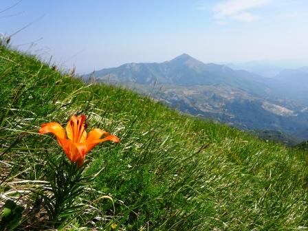 Monte Ventasso