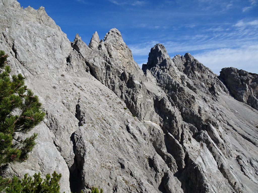 Sentiero Battaglione Gemona