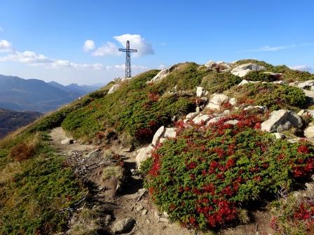 Monte Gomito croce