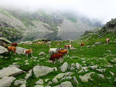 Gran Lago Unghiasse