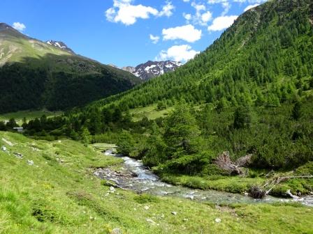 Sentiero 101 Livigno