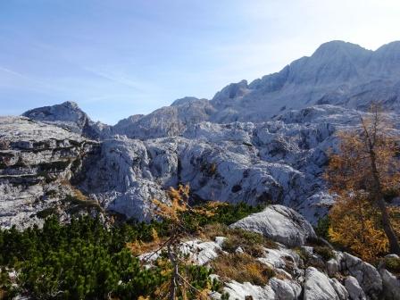 Monte Canin Foran dal Mus