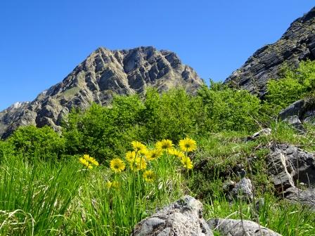 Monte Pisanino