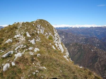 Monte Pizzocolo vetta