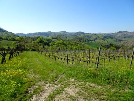 Sassuolo Montegibbio collina