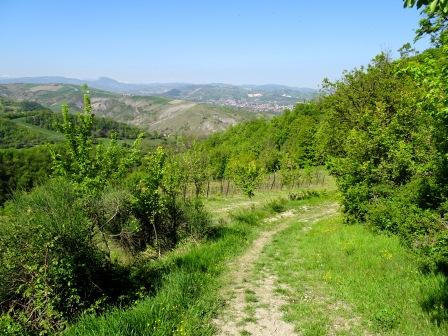 sentiero Montegibbio Bagole