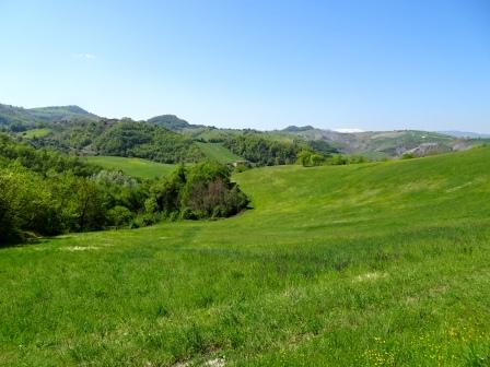 Sassuolo Bagole collina