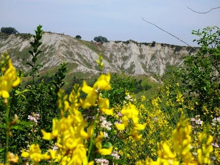 calanchi ginestre Sentiero Vulcani di Fango