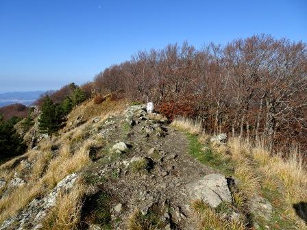 Monte Borla vetta