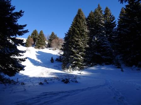 Giro delle Malghe Sega di Ala Monte Castelberto