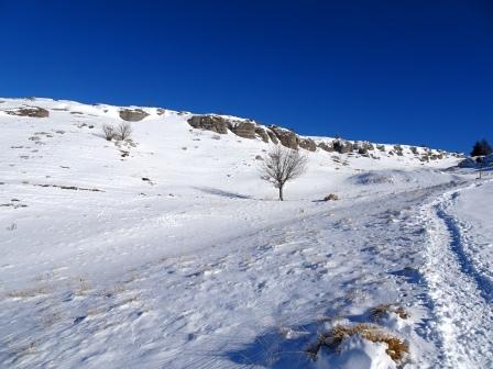 Giro delle malghe Lessinia