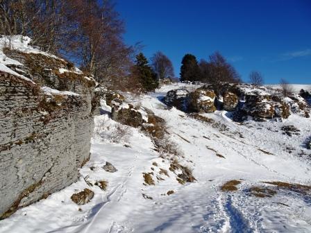 Giro delle malghe Monti Lessini