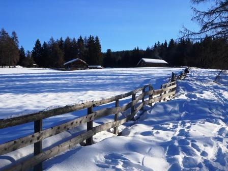 Wurzeralm