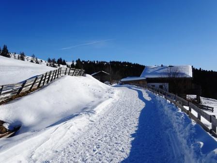 Vöraner Alm