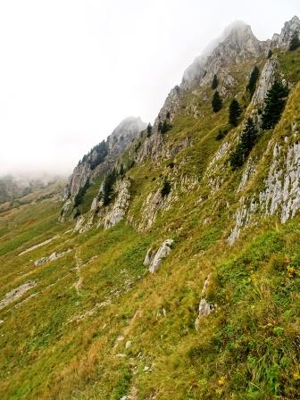 sentiero 448 Rifugio Fabiani Casera Pramosio