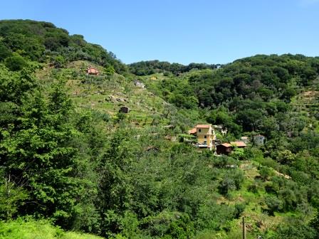 sentiero San Fruttuoso Santa Margherita