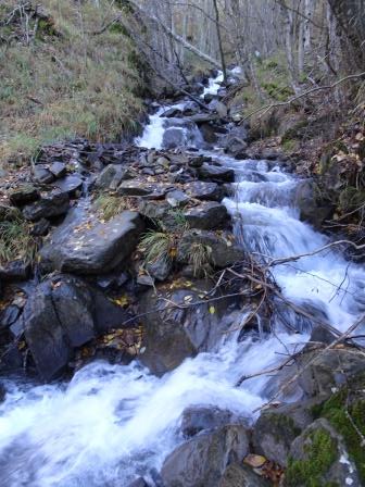 Rio Acereto sentiero Abetone Doganaccia