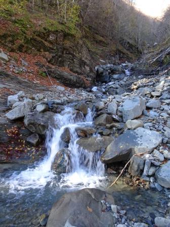 Rio Maggiore sentiero Abetone Doganaccia