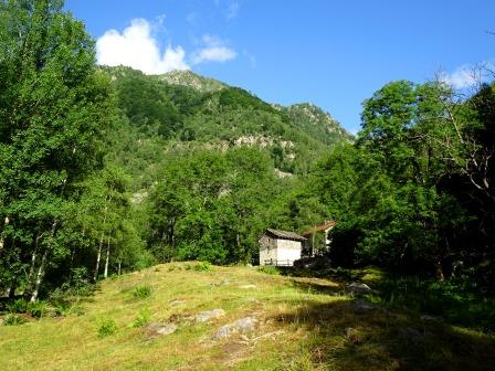 sentiero E41 Piedicavallo radura