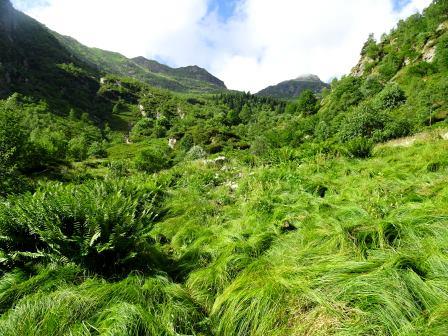 Valle d'Irogna