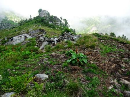 Alpe Irogna inferiore