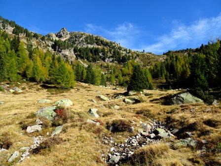 Seeberg Alm