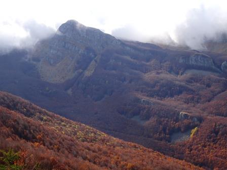 Rondinaio Lombardo