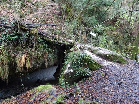 Sentiero del Viandante Torrente Meria