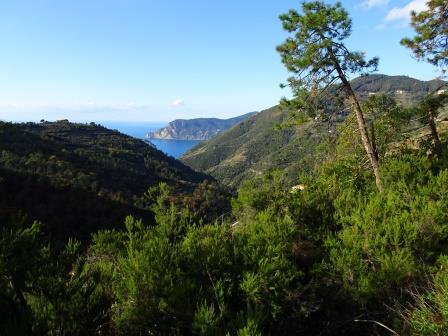 panorama con Punta Mesco 