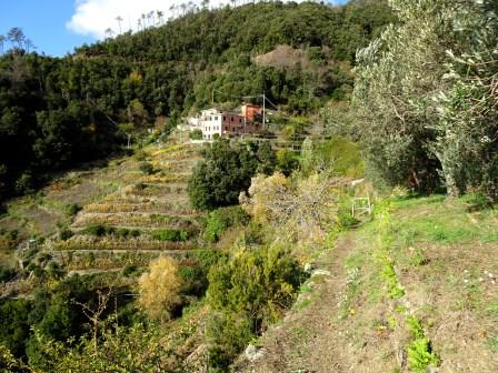 Casa Fontanella sentiero 581 Cinque Terre