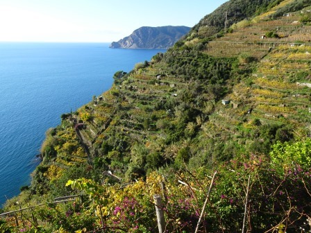 sentiero Vernazza Reggio