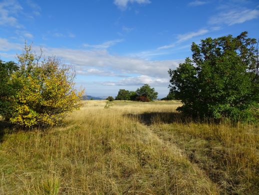 Pietra di Bismantova altopiano