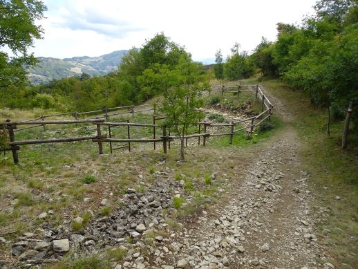 Campo Pianelli Pietra di Bismantova