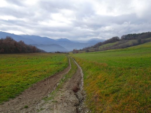 sentiero 698 appennino reggiano