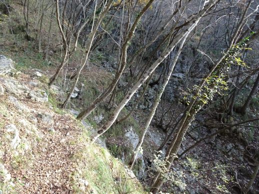 Valle Vacchera Sentiero del Viandante