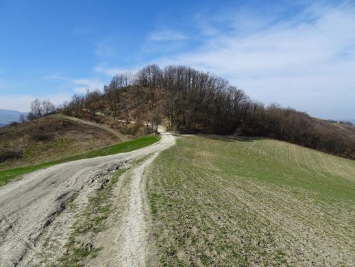 Monte Le Malee Castellarano