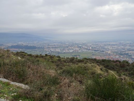 Poggio Castiglione vista