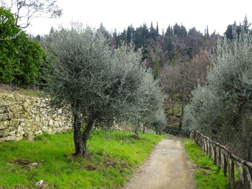 Casa Bifolchi Monti della Calvana