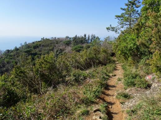 sentiero Monte di Portofino Sella Toca