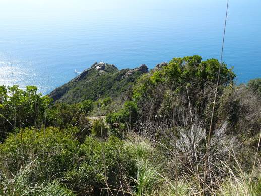 Semaforo Nuovo Parco di Portofino