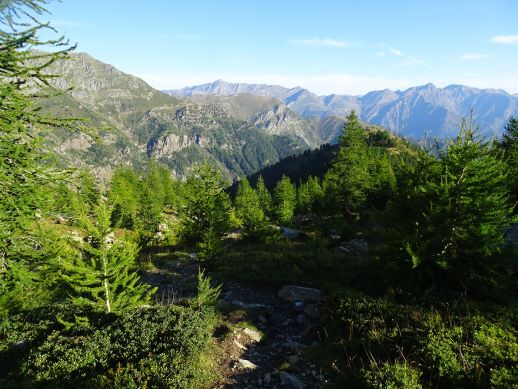 sentiero Colle Proussera