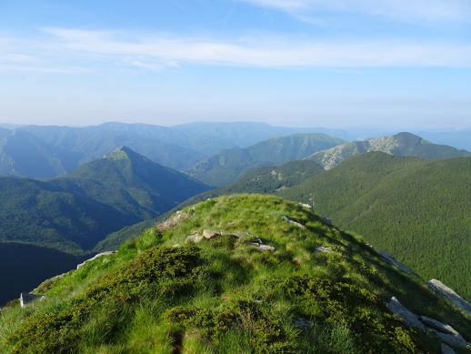 Pizzo Alpestre vista