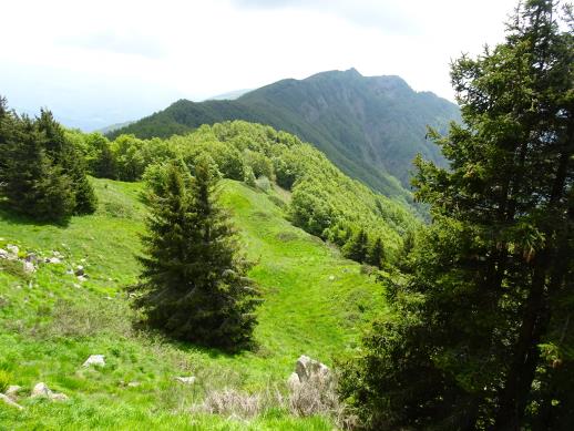 Monte Uccelliera