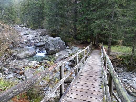 ponte torrente Grigno